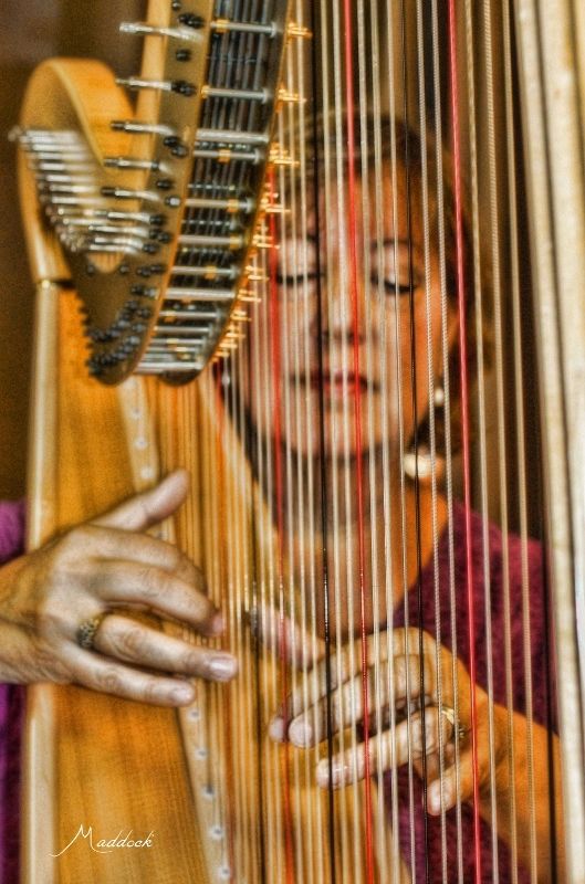 Musician, Harpist Tulsa, Oklahoma